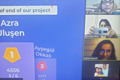 online-meet3