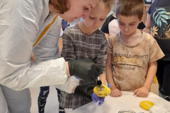 Attels-no-Zanna-Stasane-10