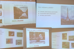 kolaza