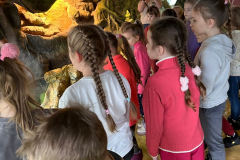 2_ZOO