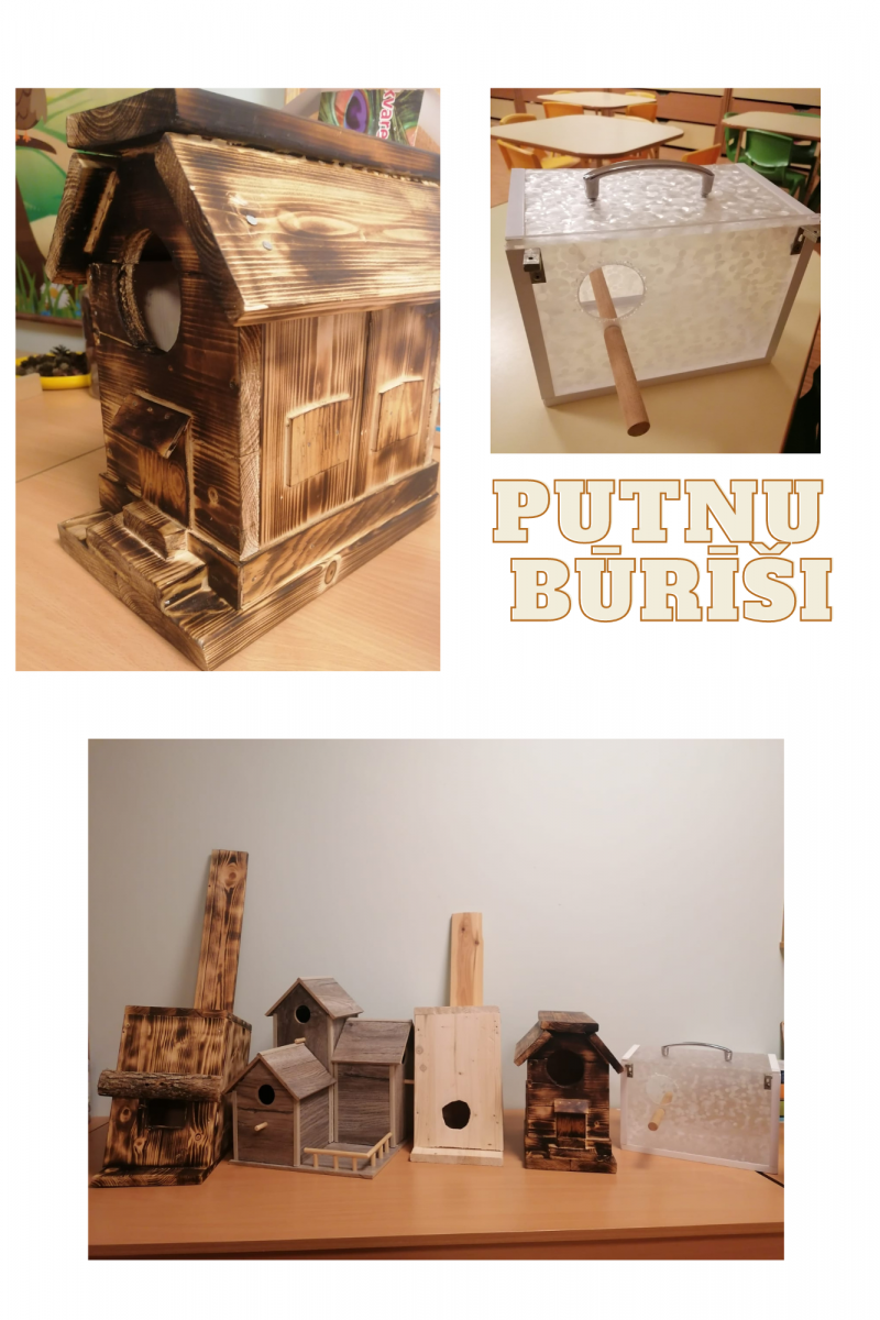 PUTNU BŪRĪŠI - 1