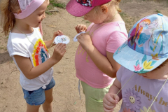 R_SBTD_01_06_2024-50