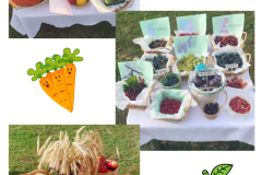 Noformējums bez nosaukuma - 1