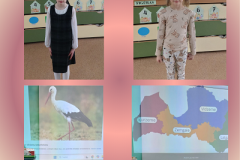 Green and Blue Neutral Natural Landscape Photo Collage - 1