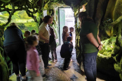 9_ZOO_S-9