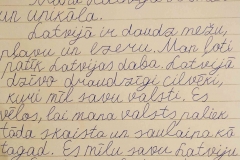 Daniils-Drozdovs_2_a1